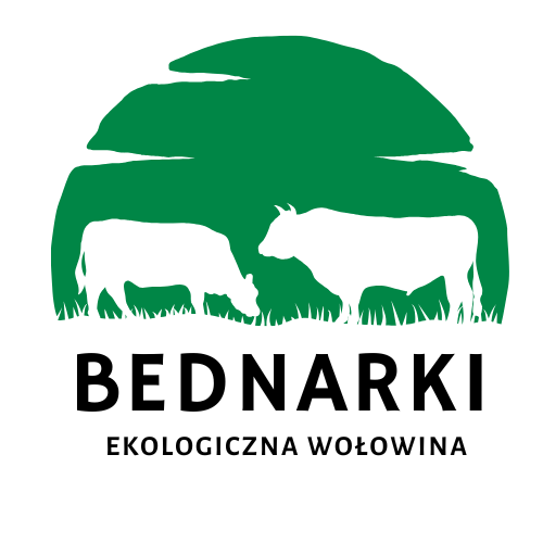 Ekologiczna hodowla bydła mięsnego rasy hereford w Bednarkach koło Ostródy